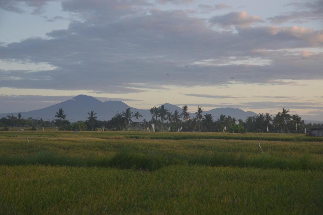 Bali Harmony Retreat Apart otel Canggu Dış mekan fotoğraf