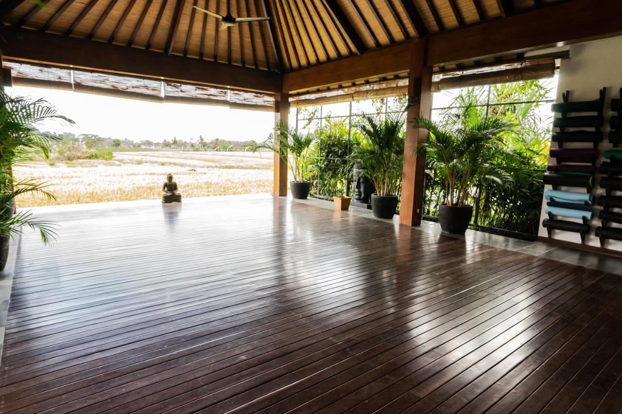 Bali Harmony Retreat Apart otel Canggu Dış mekan fotoğraf
